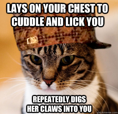 Lays on your chest to cuddle and lick you Repeatedly digs her claws into you   Scumbag Cat