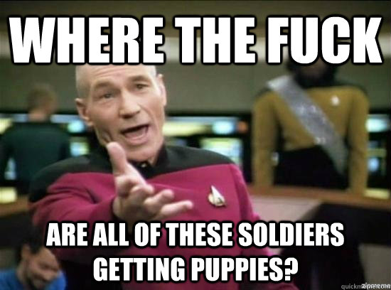Where the fuck are all of these Soldiers getting puppies?  Annoyed Picard HD