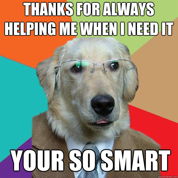 Thanks for always helping me when i need it your so smart - Thanks for always helping me when i need it your so smart  Business Dog
