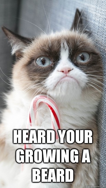  Heard your growing a beard -  Heard your growing a beard  Candy cane grumpy cat