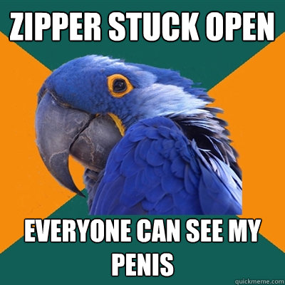 Zipper stuck open everyone can see my penis  Paranoid Parrot