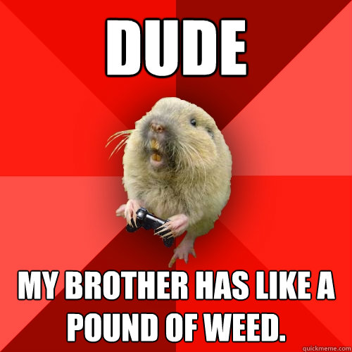 DUDE My brother has like a pound of weed.  Gaming Gopher