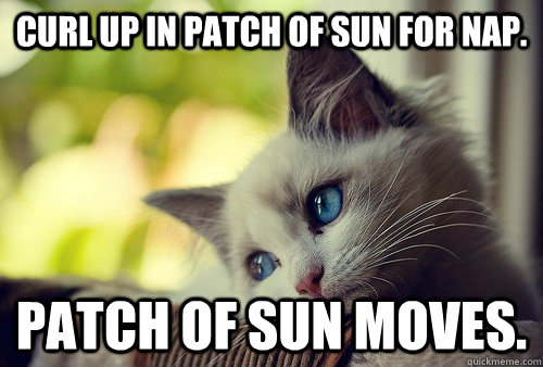 Curl up in patch of sun for nap. Patch of sun moves.  First World Problems Cat