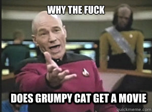 why the fuck does Grumpy Cat get a movie  Annoyed Picard