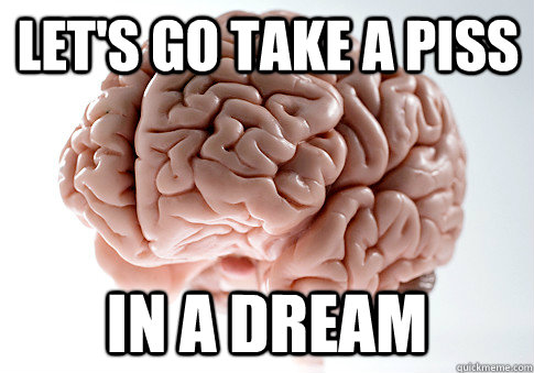 let's go take a piss in a dream  Scumbag Brain
