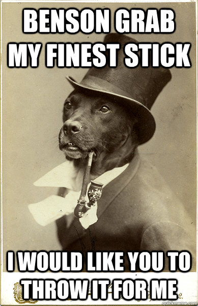 benson grab my finest stick i would like you to throw it for me  Old Money Dog