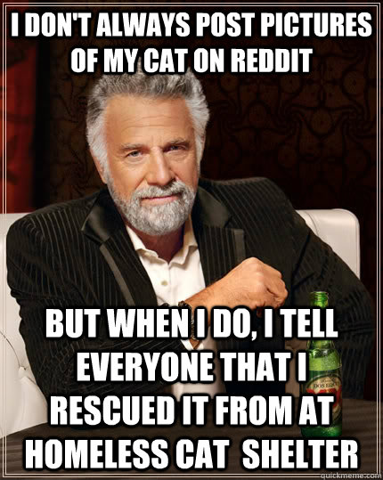 I don't always post pictures of my cat on reddit but when I do, I tell everyone that i rescued it from at homeless cat  shelter  The Most Interesting Man In The World