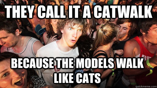 They call it a catwalk because the models walk like cats - They call it a catwalk because the models walk like cats  Sudden Clarity Clarence
