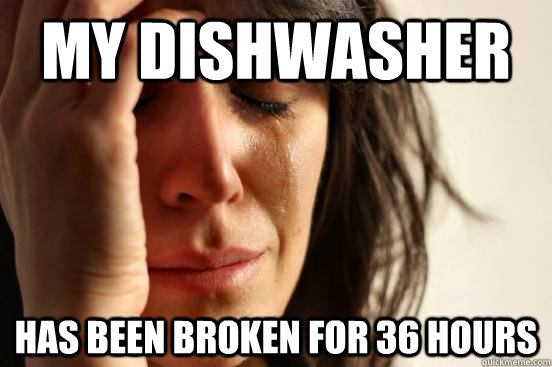 My dishwasher has been broken for 36 hours  First World Problems