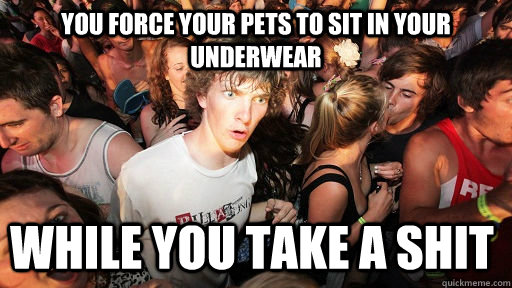 YOU FORCE YOUR PETS TO SIT IN YOUR UNDERWEAR WHILE YOU TAKE A SHIT  Sudden Clarity Clarence