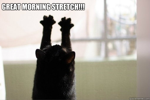 Great Morning Stretch!!! - Great Morning Stretch!!!  Morning Stretch