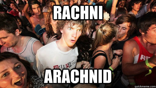 Rachni Arachnid  