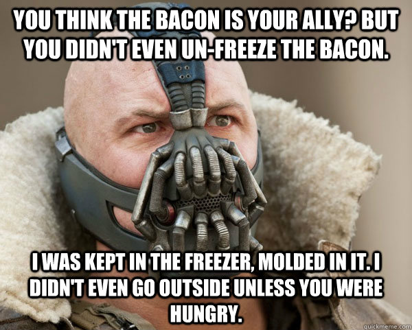 You think the bacon is your ally? But you didn't even un-freeze the bacon. I was kept in the freezer, molded in it. I didn't even go outside unless you were hungry.  Bane Connery