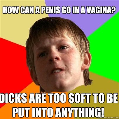 How can a penis go in a vagina? Dicks are too soft to be put into anything!  Angry School Boy