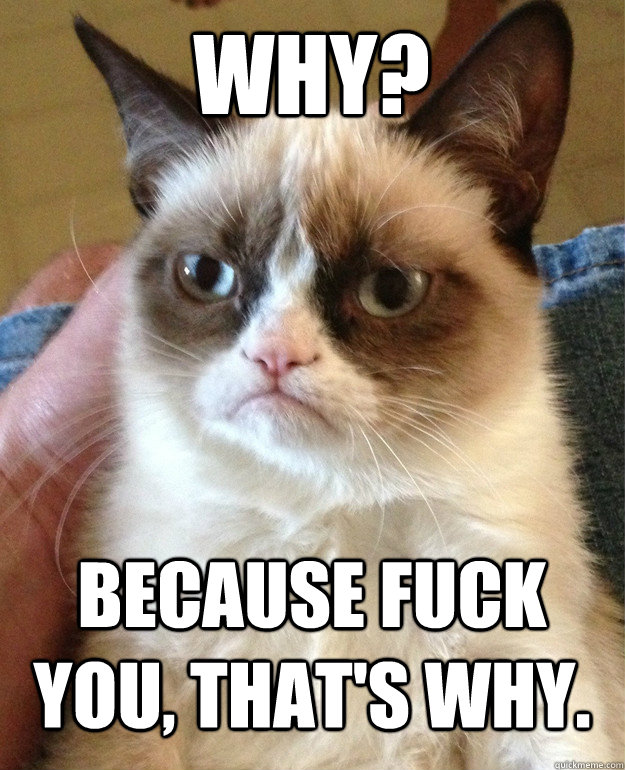 Why? Because fuck you, that's why.  Grumpy Cat
