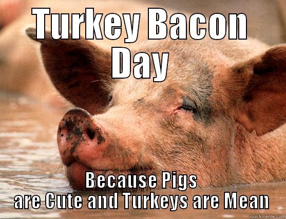 TURKEY BACON DAY BECAUSE PIGS ARE CUTE AND TURKEYS ARE MEAN Stoner Pig