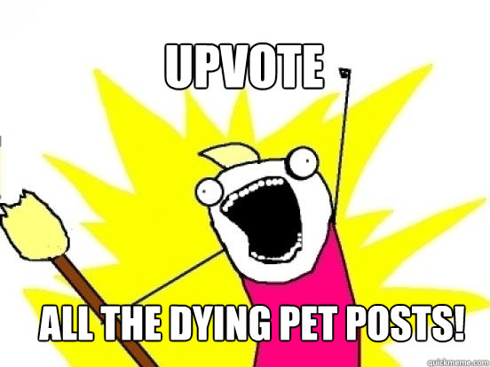 upvote all the dying pet posts!  X All The Things