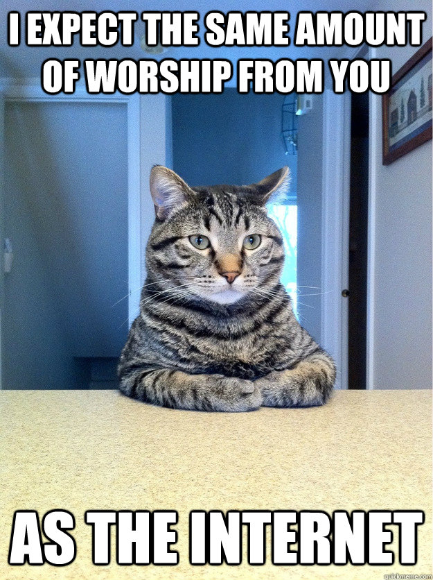 I expect the same amount of worship from you as the internet  