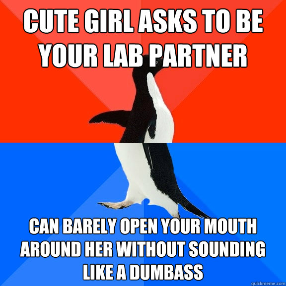 Cute girl asks to be your lab partner can barely open your mouth around her without sounding like a dumbass  Socially Awesome Awkward Penguin