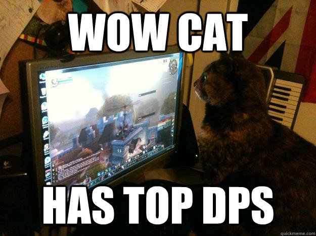 Wow cat has top dps  Wow cat