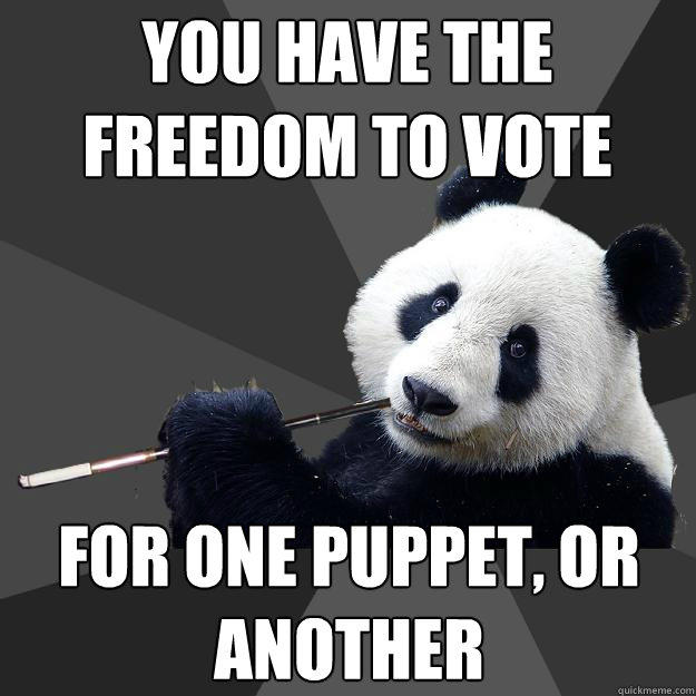 you have the freedom to vote for one puppet, or another  Propapanda