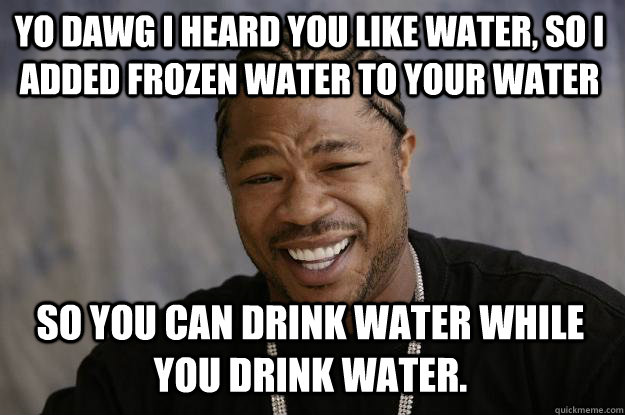 YO DAWG I heard you like water, so i added frozen water to your water so you can drink water while you drink water.   Xzibit meme