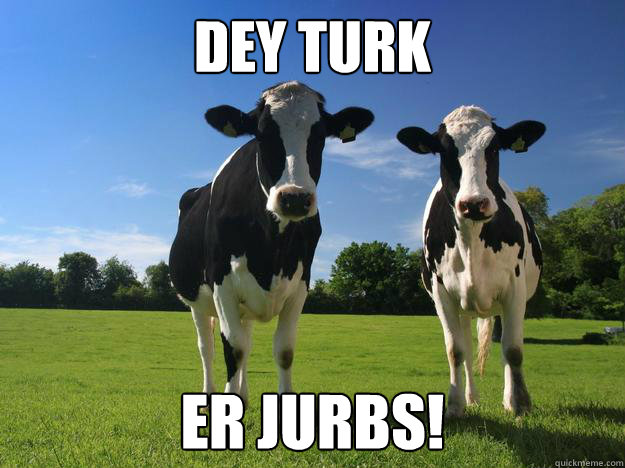 Dey turk er jurbs! - Dey turk er jurbs!  Cheating at Physics Cow