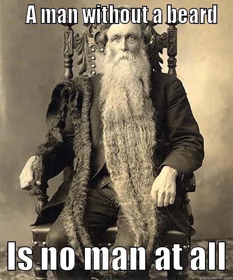    A MAN WITHOUT A BEARD   IS NO MAN AT ALL Misc