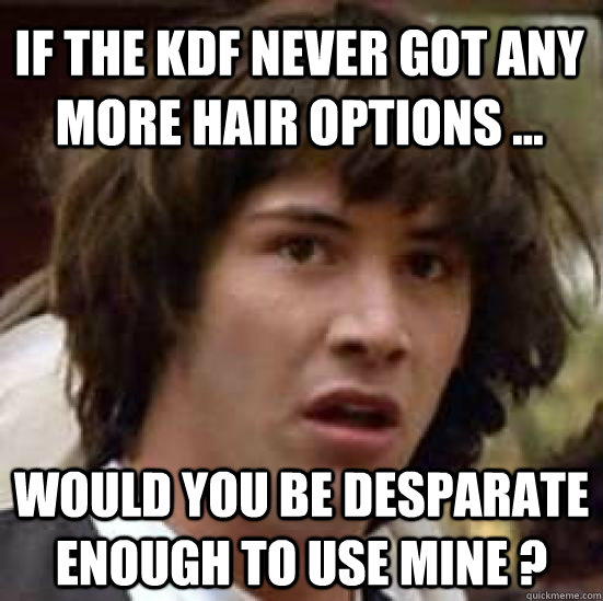 if the kdf never got any more hair options ... would you be desparate enough to use mine ? - if the kdf never got any more hair options ... would you be desparate enough to use mine ?  conspiracy keanu
