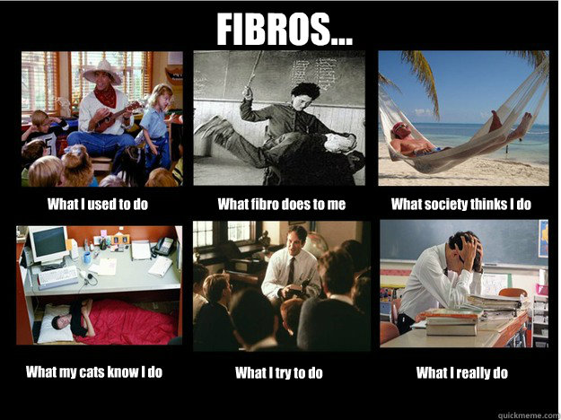 FIBROS... What I used to do What fibro does to me What society thinks I do What my cats know I do What I try to do What I really do  What People Think I Do