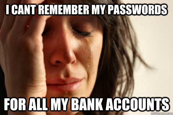 I CANT REMEMBER MY PASSWORDS FOR ALL MY BANK ACCOUNTS  First World Problems