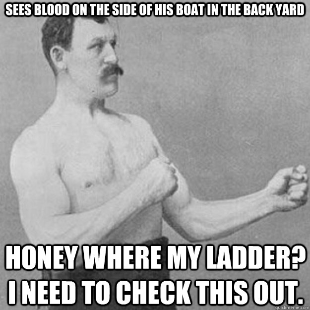 Sees blood on the side of his boat in the back yard Honey where my ladder? I need to check this out.  overly manly man