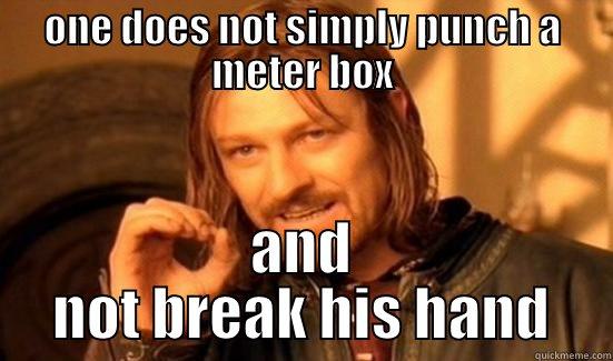 ONE DOES NOT SIMPLY PUNCH A METER BOX AND NOT BREAK HIS HAND Boromir