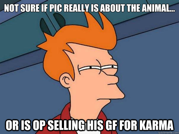 Not sure if pic really is about the animal... Or is OP selling his GF for Karma  Futurama Fry