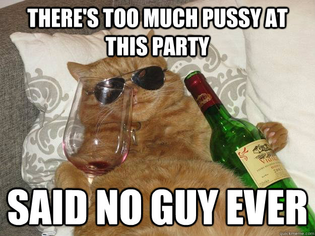 There's too much pussy at this party Said no guy ever  Party Cat