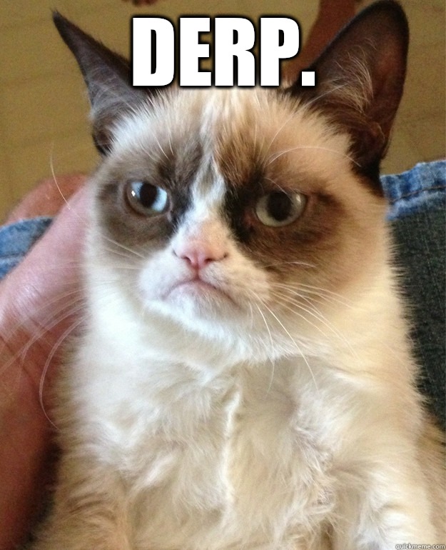 Derp.   Grumpy Cat