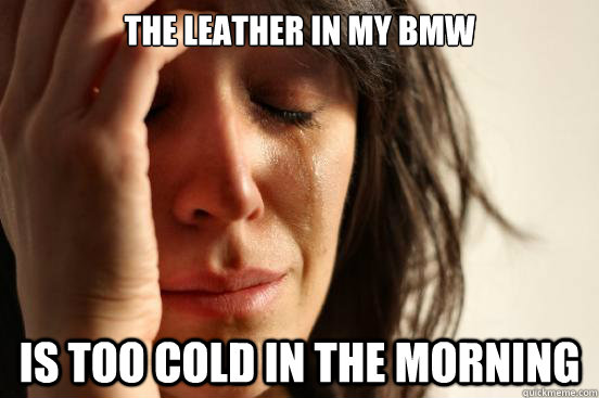 the leather in my bmw is too cold in the morning - the leather in my bmw is too cold in the morning  First World Problems