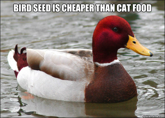 bird seed is cheaper than cat food   Malicious Advice Mallard