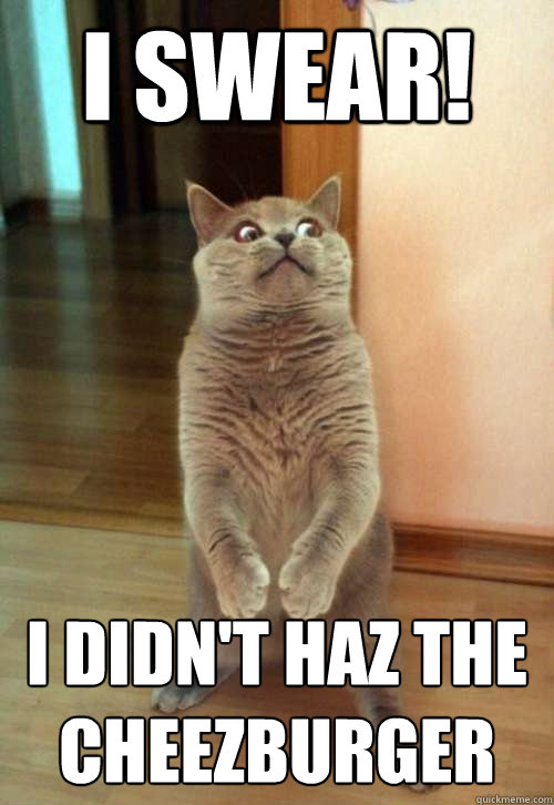 I swear! I didn't haz the cheezburger  Horrorcat