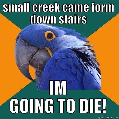 SMALL CREEK CAME FORM DOWN STAIRS IM GOING TO DIE! Paranoid Parrot