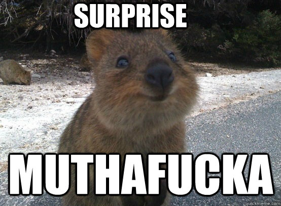 surprise muthafucka - surprise muthafucka  Misc