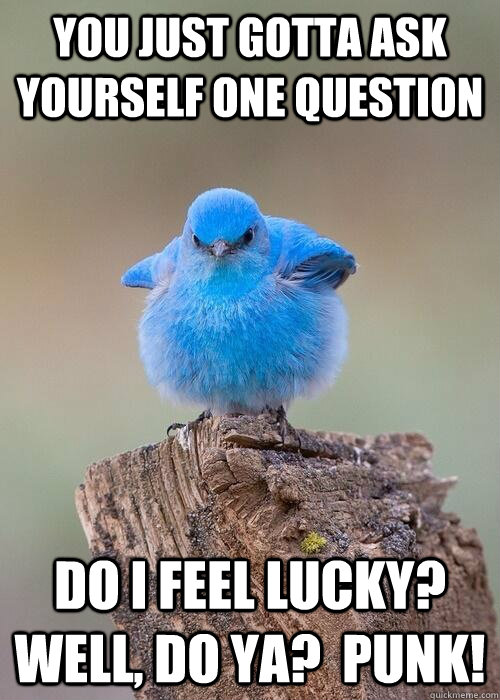 You just gotta ask yourself one question Do i feel lucky?  Well, do ya?  Punk!  Badass Bluebird