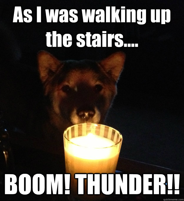 As I was walking up the stairs.... BOOM! THUNDER!!  Scary Story Dog