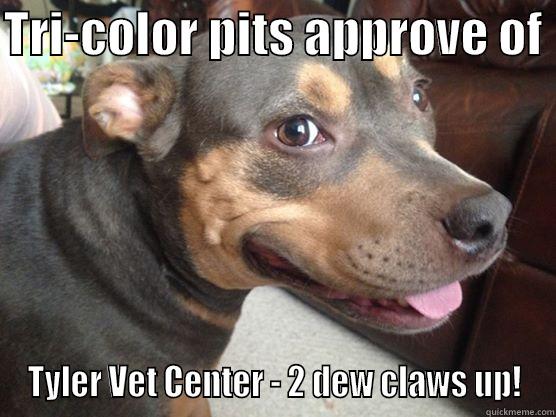 vets for pets - TRI-COLOR PITS APPROVE OF  TYLER VET CENTER - 2 DEW CLAWS UP! Misc