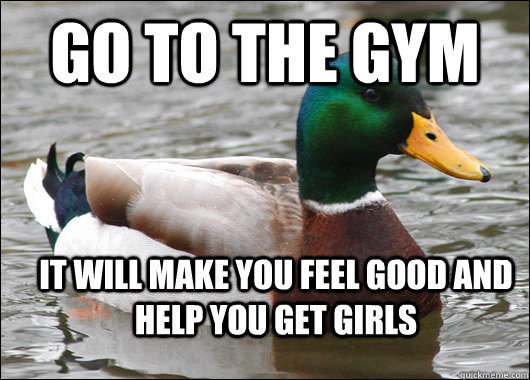 GO TO THE GYM IT WILL MAKE YOU FEEL GOOD AND HELP YOU GET GIRLS - GO TO THE GYM IT WILL MAKE YOU FEEL GOOD AND HELP YOU GET GIRLS  Actual Advice Mallard