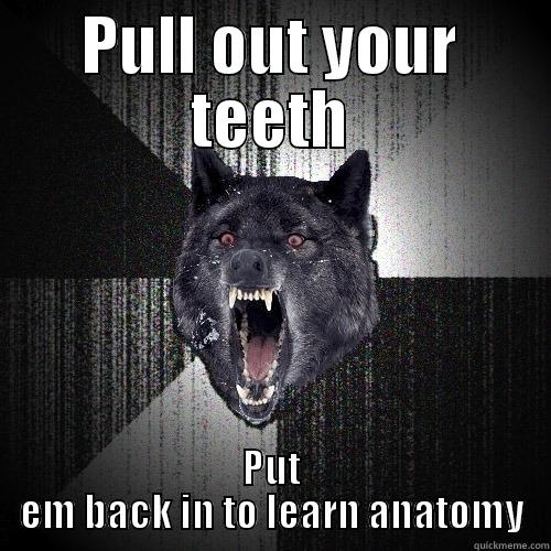 PULL OUT YOUR TEETH PUT EM BACK IN TO LEARN ANATOMY Insanity Wolf