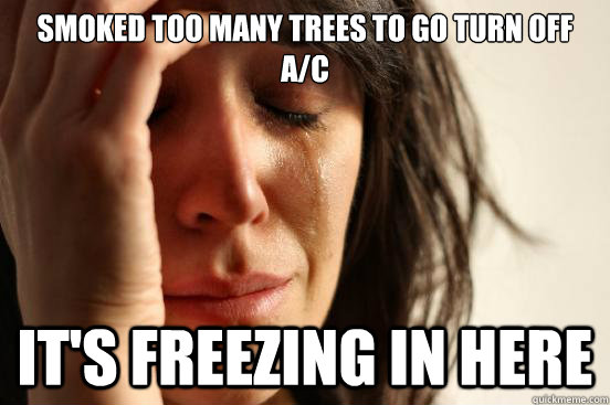 SMOKED TOO MANY TREES TO go TURN OFF A/C IT'S FREEZING IN HERE  First World Problems