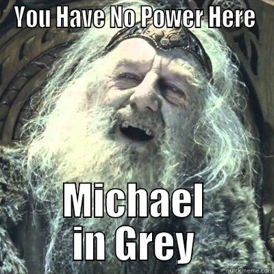 YOU HAVE NO POWER HERE MICHAEL IN GREY Misc