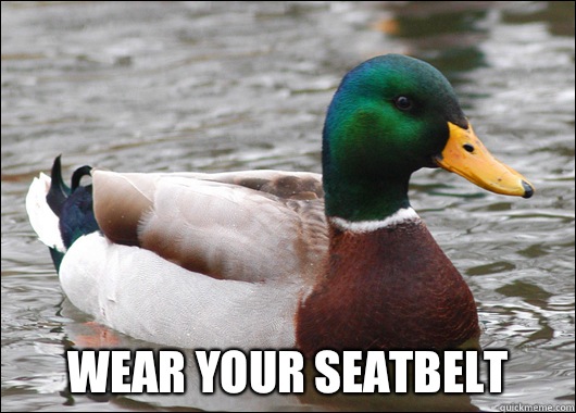  Wear your seatbelt   Actual Advice Mallard