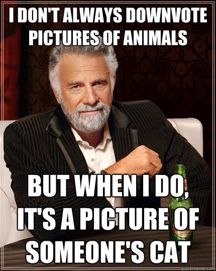 I don't always downvote pictures of animals But when I do, it's a picture of someone's cat  The Most Interesting Man In The World